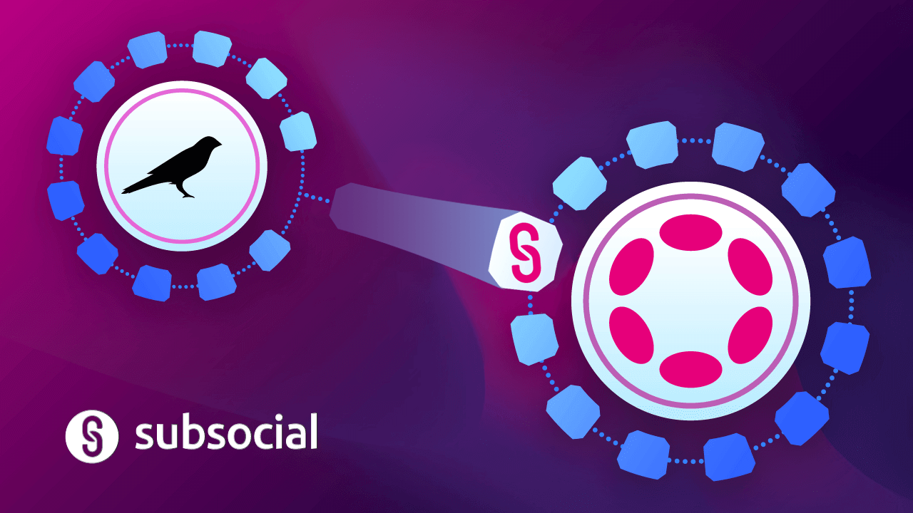 A New Era Begins: Subsocial Completes Migration from Kusama to Polkadot
